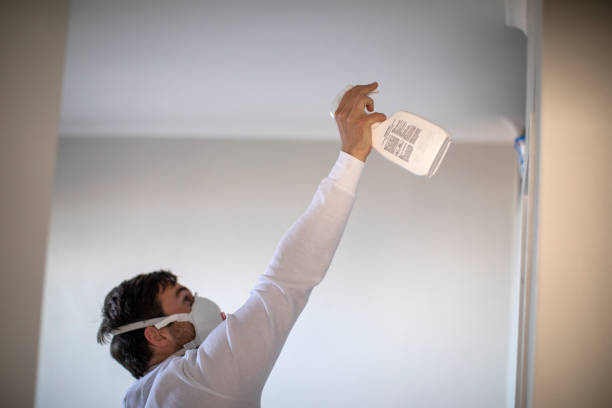 Best Mold Removal Near Me  in Citrus, CA