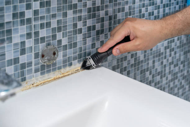Best Mold Damage Repair  in Citrus, CA